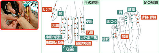 エネルギーの測定を行います